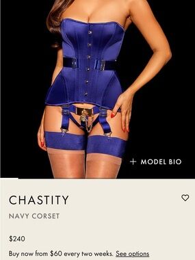 NWT Honey Birdette CHASTITY Royal Blue Lace-Up Satin Corset GOLD HARDWARE